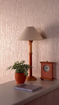 Its best not to buy this kind of lamp at home 15