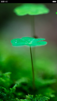 立夏（动态桌面和锁屏+3D图标）