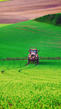 Beautiful view of the farmland
