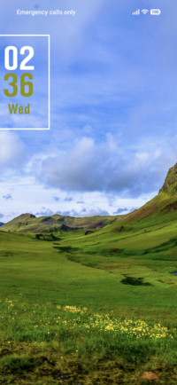 Grass Field