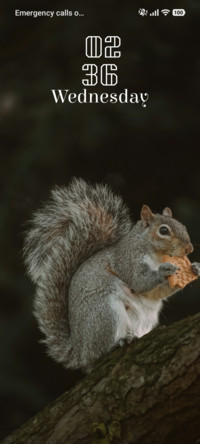 Nut Whisper