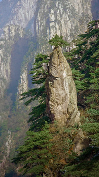 不一样的风景