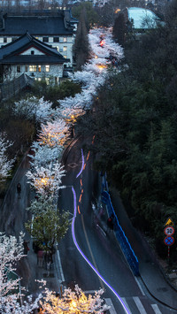 游历别样的南京