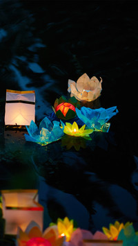 Moonlight in lotus pond-02