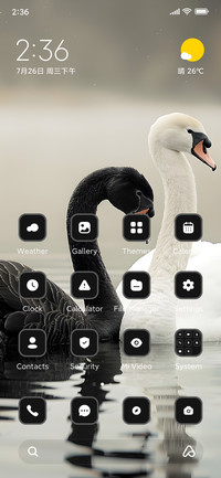 Swan