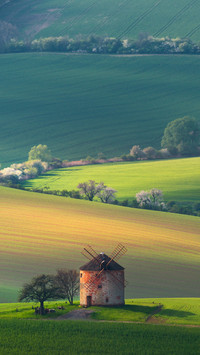 Beautiful Grassland Scenery