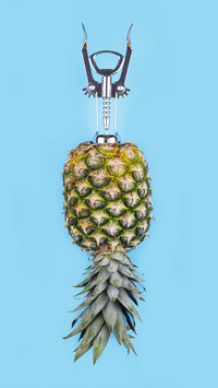 Creative Pineapple-PAIXIN