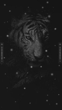 最后的沉默