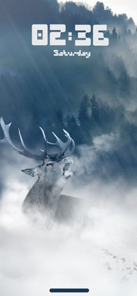 Deer in Winters