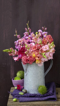 What flowers are suitable for growing in autumn 54