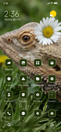 Lizard