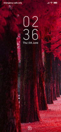 Autumn_DWM2