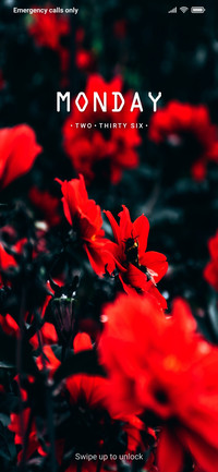 RED V10