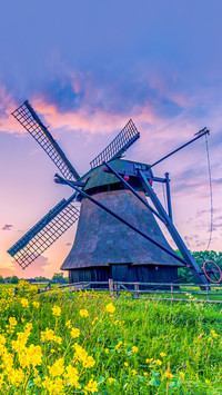 Water scoop mill in east friesland north germany