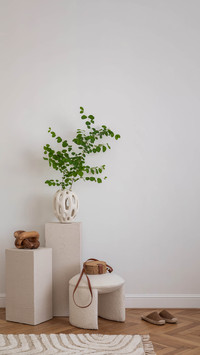 植物摆放有讲究