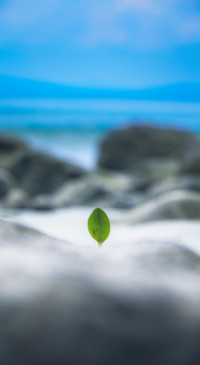 Hope from Covid (28)