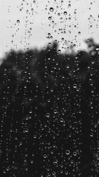 Rain Rhythm (5)