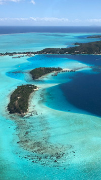 French polynesia