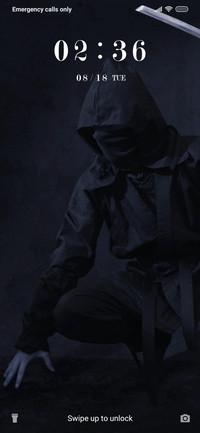 Ninja in Dark_3MDS