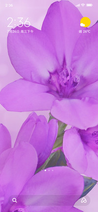 pastel blossom