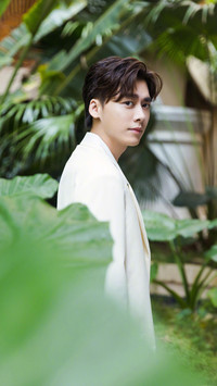 李易峰：应邀的自我
