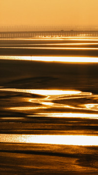 Capture the gilded tidal flats in the frame 2