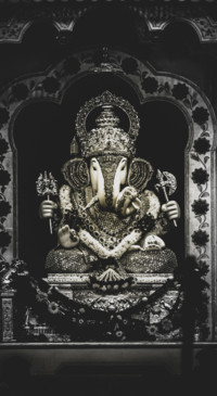 Vibe of India  (37)