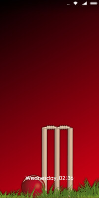 HITMAN_Cricket