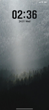 Foggy Forest