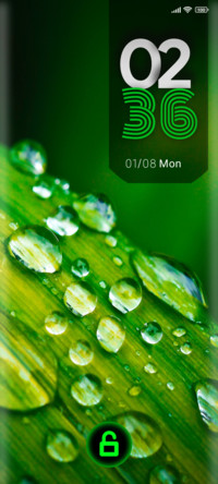 leaf droplets
