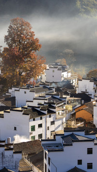 Morning fog in Shicheng, Wuyuan, Jiangxi