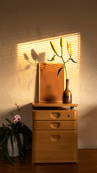 Home interior with picture frames and potted plants