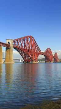Fox bridge