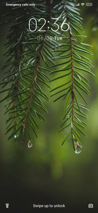 Leaves_3MDS