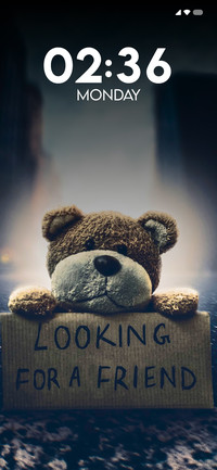 Looking For Friend
