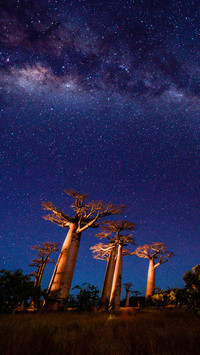 Wonderful Madagascar 1
