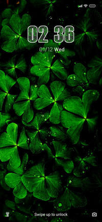 Green Clover_Love
