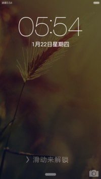 麦穗（V5V6自由桌面）