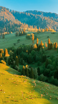 山河栖梦