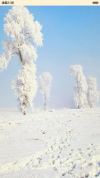 雪景