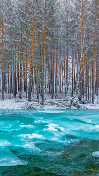 The Stunning Scenic Spots of Altay