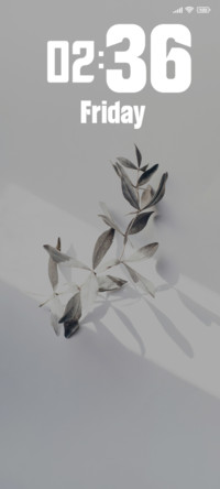 Leaves