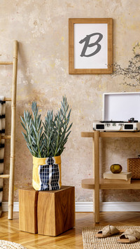 Sitting Room with Plants in Hipster Pot and Decoration