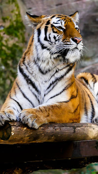 112424_1440x2560.jpg