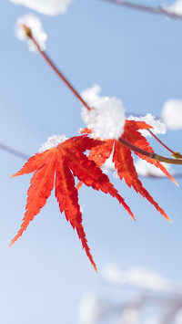 Its snowy until winter 3