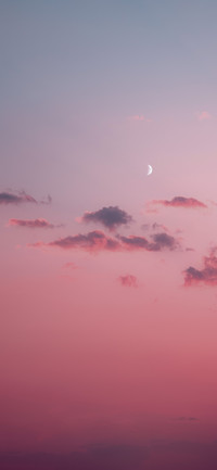 收集浪漫