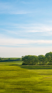 American central farms