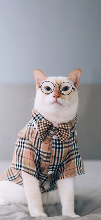 Everything is cute-PAIXIN