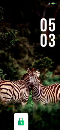 Jungle Dope