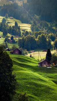 Dreamy hillside light and shadow